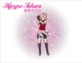 Sakura
